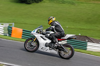 Lower Group White Bikes